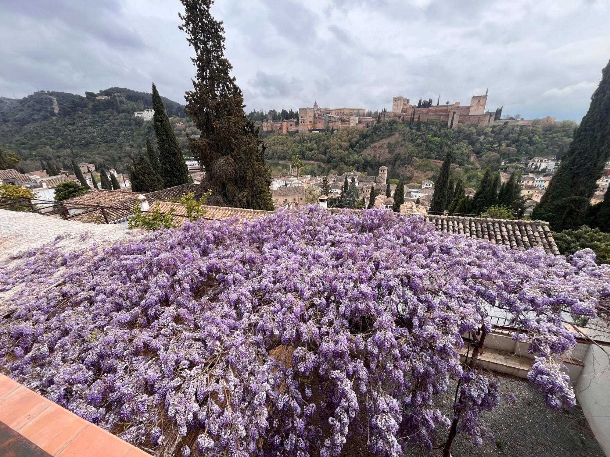 La Casa Juan Ranas Bed & Breakfast Granada Exterior photo